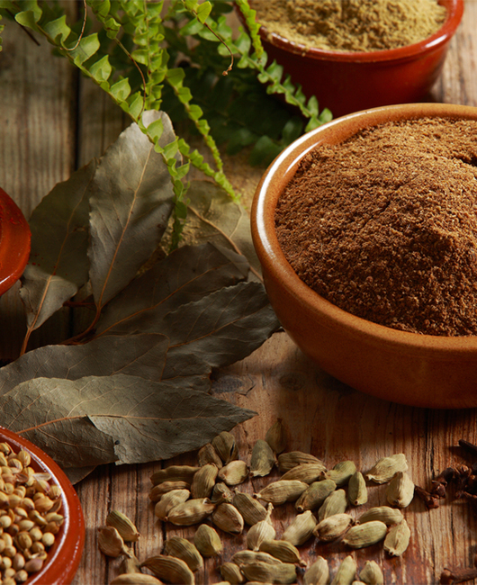 Shahi Garam Masala and its Reaping Benefits